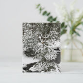 ウィンタースノーキャビンフィーバークリークフォレストアウトドアハイキング シーズンポストカード (スタンド正面)