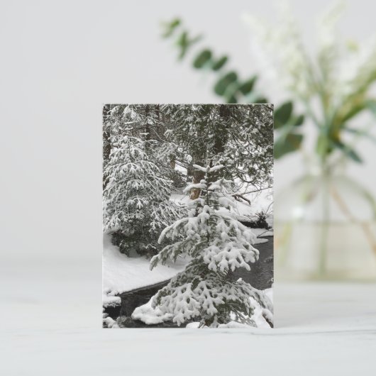 ウィンタースノーキャビンフィーバークリークフォレストアウトドアハイキング シーズンポストカード (スタンド正面)