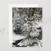 ウィンタースノーキャビンフィーバークリークフォレストアウトドアハイキング シーズンポストカード (正面/裏面)