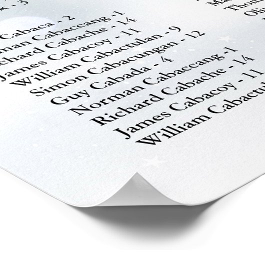 ウィンタースノーフレーク 300名 ウェディング席次表 ポスター (角)