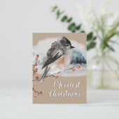 ウィンタースパローアイレックスベリー枝ウッドランドシーン ポストカード (スタンド正面)