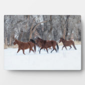ウィンターズスランニングノーの馬の群れ フォトプラーク (正面)