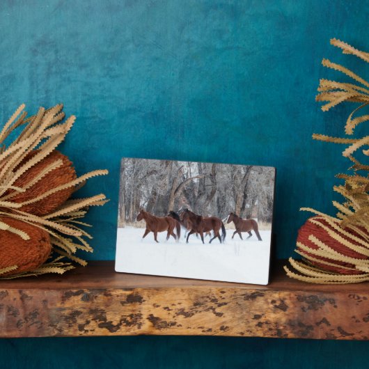 ウィンターズスランニングノーの馬の群れ フォトプラーク (側面)