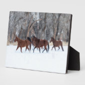 ウィンターズスランニングノーの馬の群れ フォトプラーク (側面)