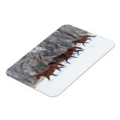 ウィンターズスランニングノーの馬の群れ マグネット (左側)