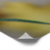 ウィンターズチル ポスター (角)