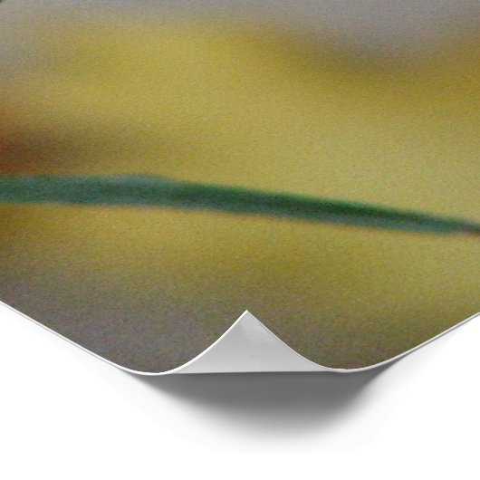 ウィンターズチル ポスター (角)