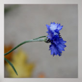 ウィンターズチル ポスター (正面)