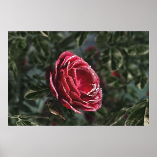 ウィンターズパーティングプリント ポスター (正面)