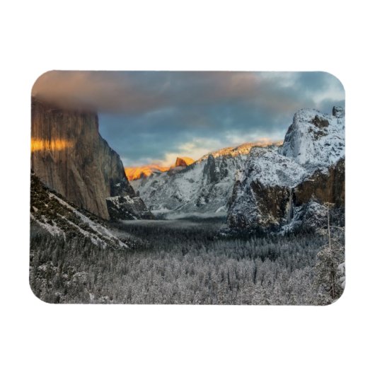 ウィンターズマーク マグネット (横)