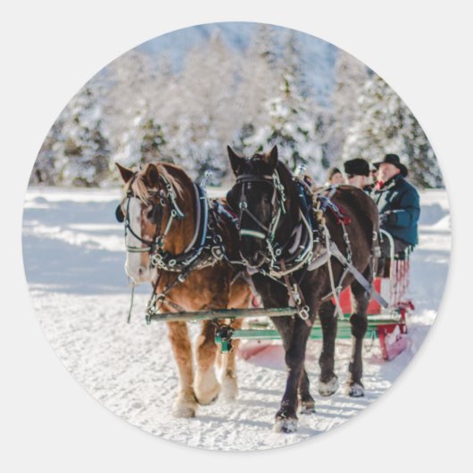 ウィンターズワンダーランド ラウンドシール (正面)