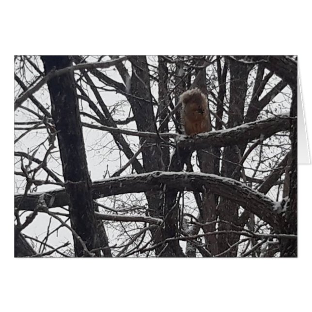 ウィンターズ賛美ホリデーシーズンズウィズカード (正面横)