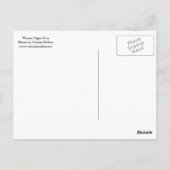 ウィンタータイガーポートレート ポストカード (裏面)