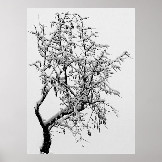 ウィンターツリープリント ポスター (正面)