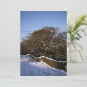 ウィンターツリーライムハンドリーチェシャーホリデーカード シーズンカード (スタンド正面)