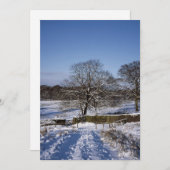 ウィンターツリーライムパークホリデーカード シーズンカード (正面/裏面)