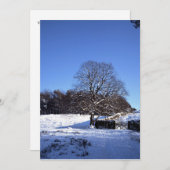 ウィンターツリーライムパークホリデーカード シーズンカード (正面/裏面)