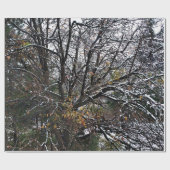 ウィンターツリーラッピング紙 ラッピングペーパー (フラット)