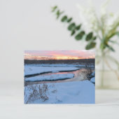 ウィンタートワイライトアットワイルドライフレッジ ポストカード (スタンド正面)