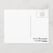 ウィンタートワイライトアットワイルドライフレッジ ポストカード (裏面)