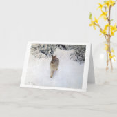 ウィンターハレ(ウサギ)、ブルーノ・リジェフォルス カード (黄色い花)