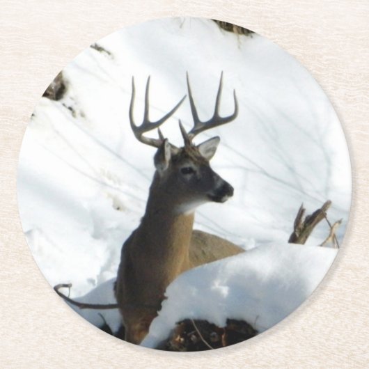 ウィンターバックコースター ラウンドペーパーコースター (正面)