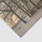 ウィンターバーンティッシュペーパー 薄葉紙 (詳細)