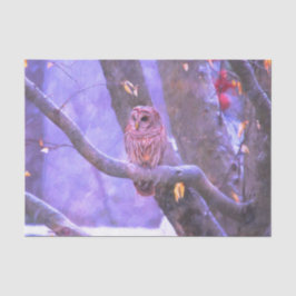 ウィンターバーンフクロウティッシュペーパー 薄葉紙