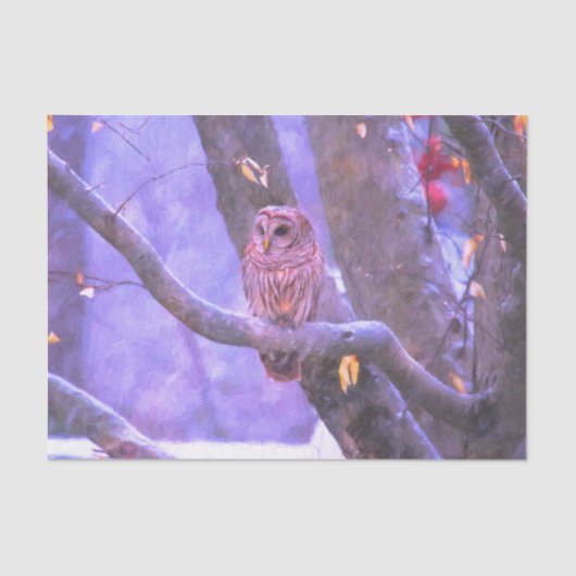 ウィンターバーンフクロウティッシュペーパー 薄葉紙 (正面)