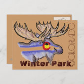 ウィンターパークコロラドエルクポストカード ポストカード (正面/裏面)