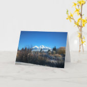 ウィンタービューアット山シャスタ, CA カード (黄色い花)