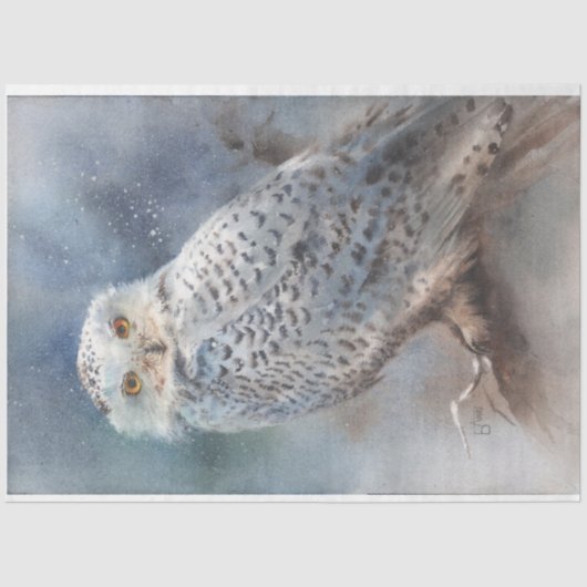 ウィンターフクロウティッシュペーパー 薄葉紙 (正面)