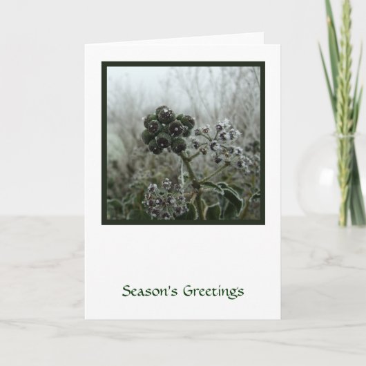 ウィンターフロストホリデーカード シーズンカード (正面)