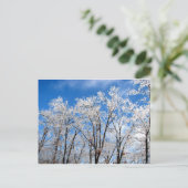 ウィンターブルース ポストカード (スタンド正面)