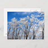 ウィンターブルース ポストカード (正面/裏面)