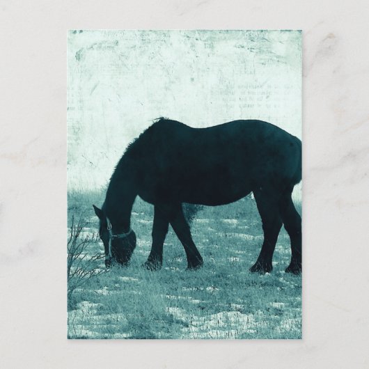 ウィンタープル血統 ポストカード (正面)