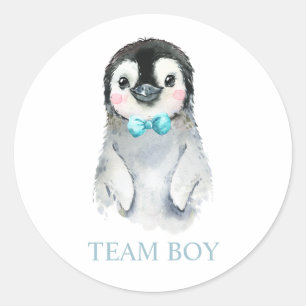 ウィンターペンギンチームBOY性別がゲームラベルを明らかにする ラウンドシール