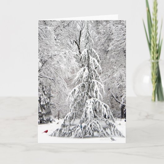 ウィンターホリデーカード：ボストン公苑 シーズンカード (正面)