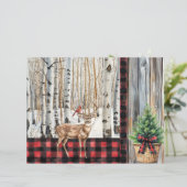 ウィンターホリデーシーナリー(鳥)ショウジョウコウカンチョウアンドディアー紙 (スタンド正面)