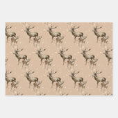 ウィンターホワイトとクラフトホリデーアパッタメント ラッピングペーパーシート (正面)