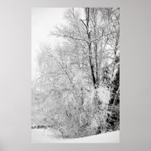 ウィンターホワイトプリント