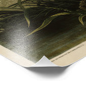 ウィンターホーク、ジョン・ジェームス・オードボンのアメリカの鳥 フォトプリント (角)