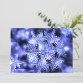 ウィンターボーン・フラット・クリスマスカード シーズンカード (スタンド正面)