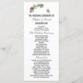 ウィンターポインセティアパインベリークリスマス結婚ズ プログラム