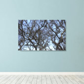 ウィンターマグノリアブランチ早期春 キャンバスプリント (インサイチュ (ウッドフロア))