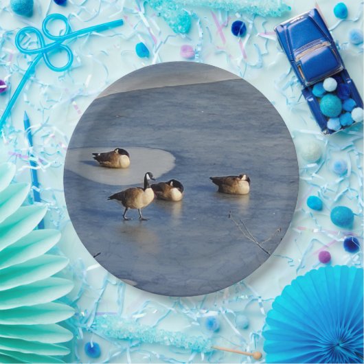 ウィンターレイクゲーゼとガチョウの氷の昼寝 ペーパープレート (パーティー)