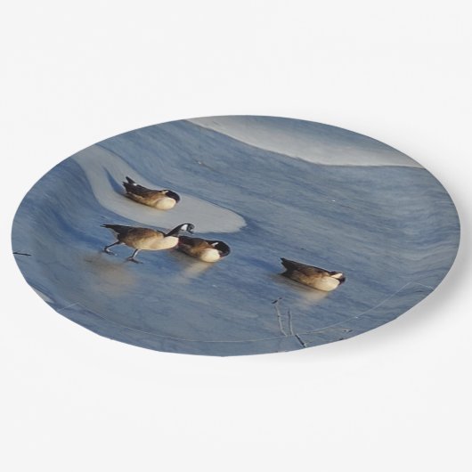 ウィンターレイクゲーゼとガチョウの氷の昼寝 ペーパープレート (アングル)