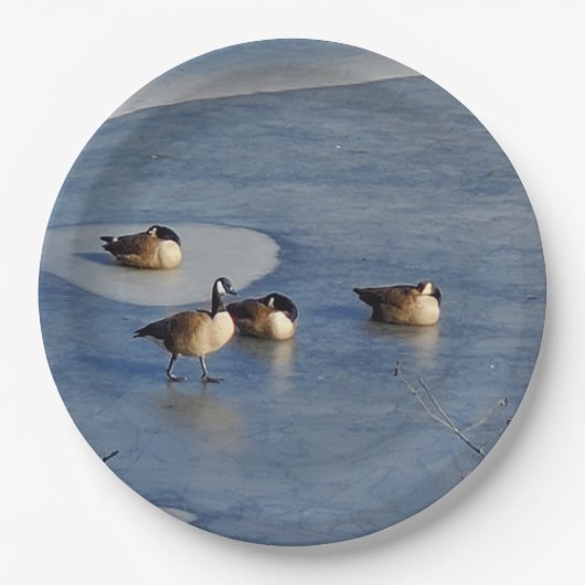 ウィンターレイクゲーゼとガチョウの氷の昼寝 ペーパープレート (正面)