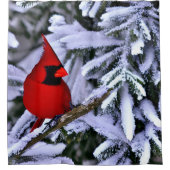 ウィンターレッド（鳥）ショウジョウコウカンチョウ シャワーカーテン (正面)