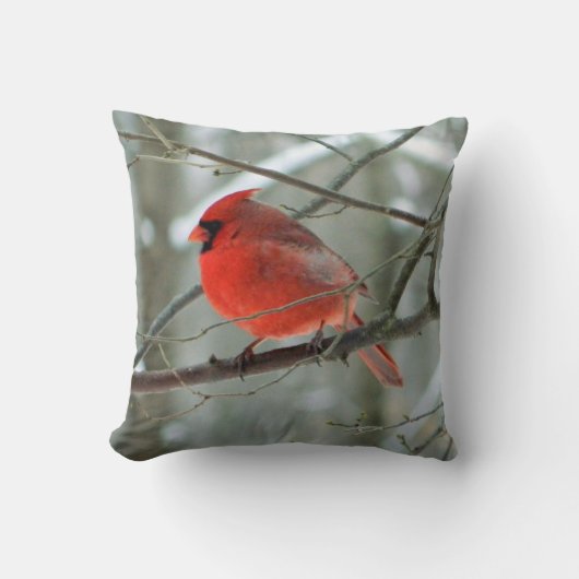 ウィンターレッド（鳥）ショウジョウコウカンチョウ( WestCreek) クッション (正面)
